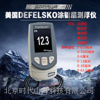 美國狄夫斯高 defelsko PosiTector 6000鍍層/塗層測厚儀 6000 N1 N3