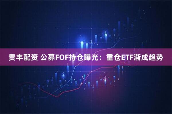 贵丰配资 公募FOF持仓曝光：重仓ETF渐成趋势
