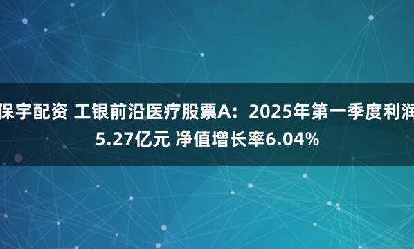 保宇配资 工银前沿医疗股票A：2025年第一季度利润5.27亿元 净值增长率6.04%