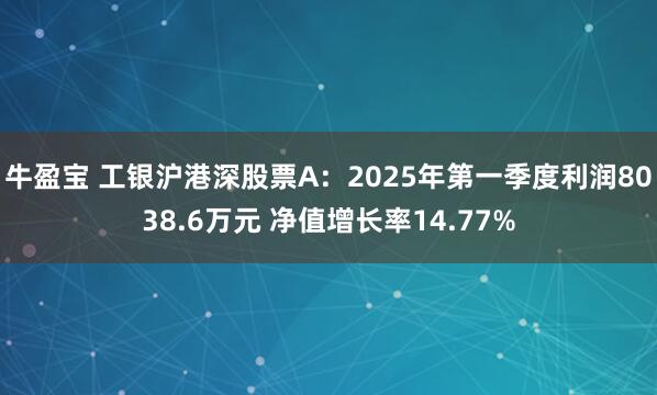 牛盈宝 工银沪港深股票A：2025年第一季度利润8038.6万元 净值增长率14.77%